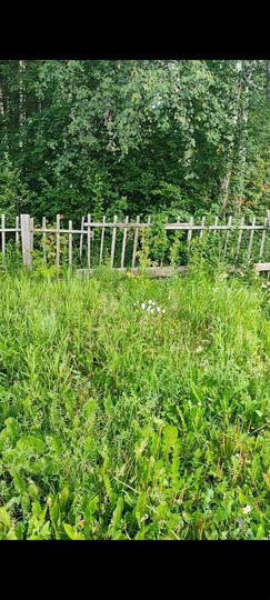 Дом 30 м² на участке 8,5 сот.