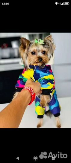 Комбинезон новый зимний для маленькой собаки