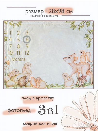 Фотоплед для малыша по месяцам