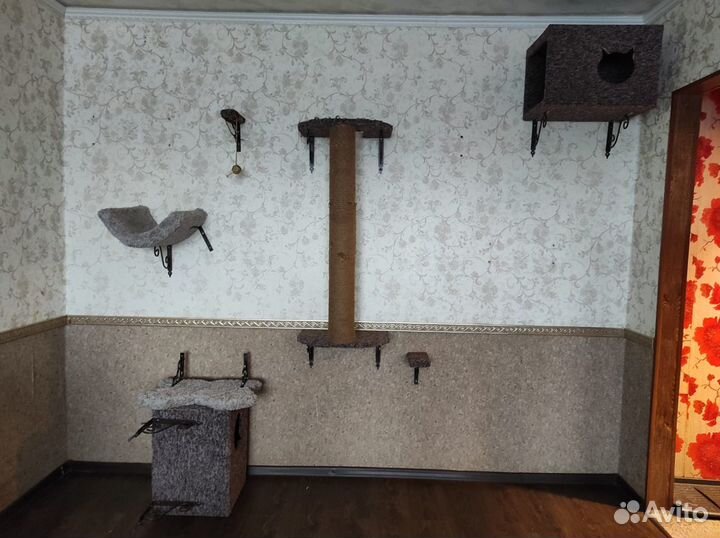 Комплекс для кошек, собак