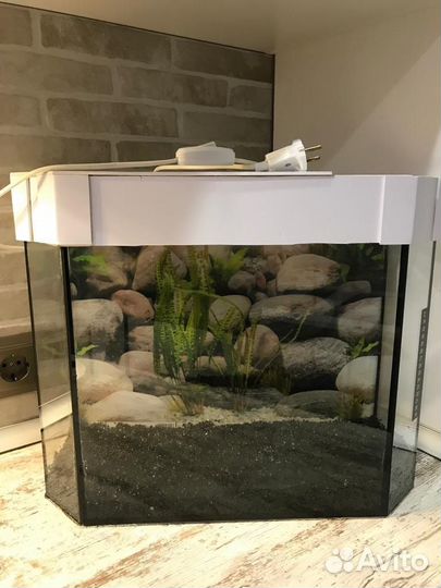 Аквариум