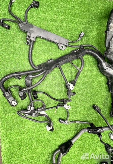 Проводка двигателя Toyota Camry XV70 A25afks 2020