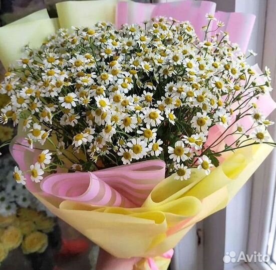 Цветы ромашки. Букеты ромашек. Цветы доставка