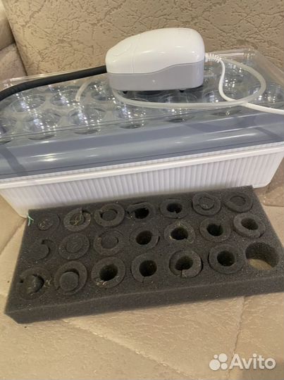 Домашняя « Чудо - грядка» (двойная)