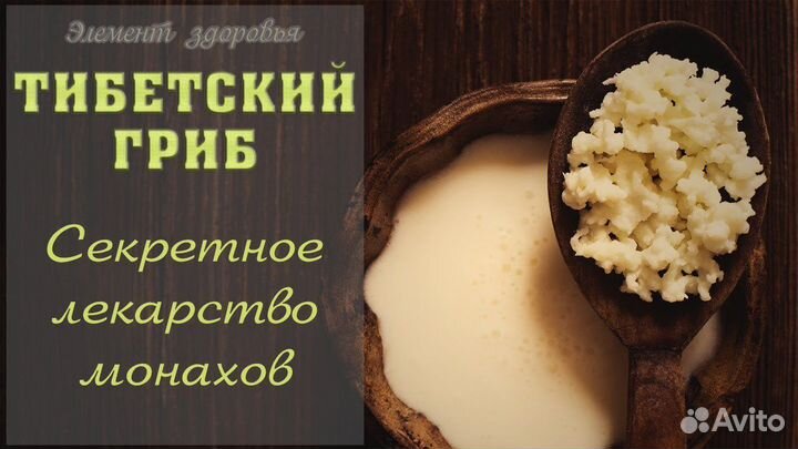 Тибетский гриб