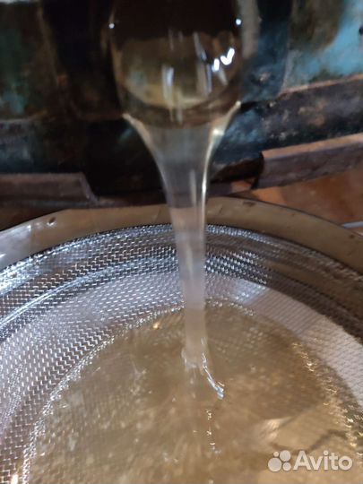 Мед Акация,разнотравье,рапс