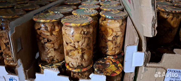 Грибы маринованные И соленные