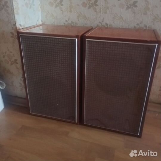 Акустические колонки 10 мас-1