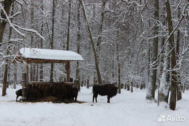 Экскурсия 