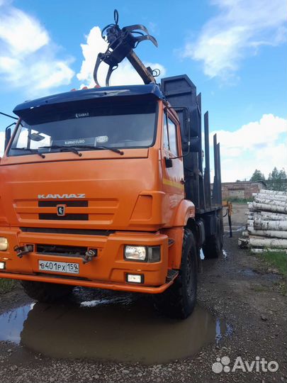 КамАЗ 43118 с КМУ, 2012