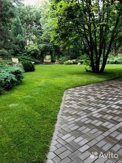 Рулонный газон