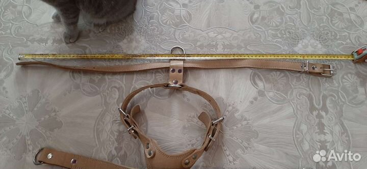 Шлейка для собаки 2в1