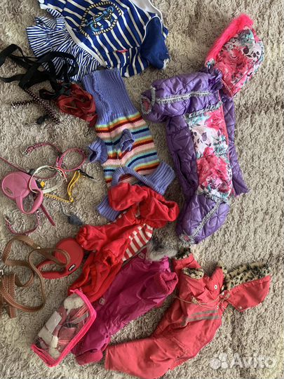 Одежда для маленьких пород собак