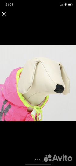 Кофты для сфинксов