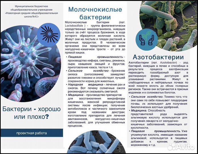 Школьные проекты