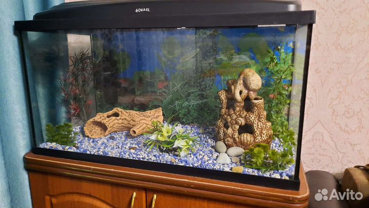 Продам аквариум с тумбой