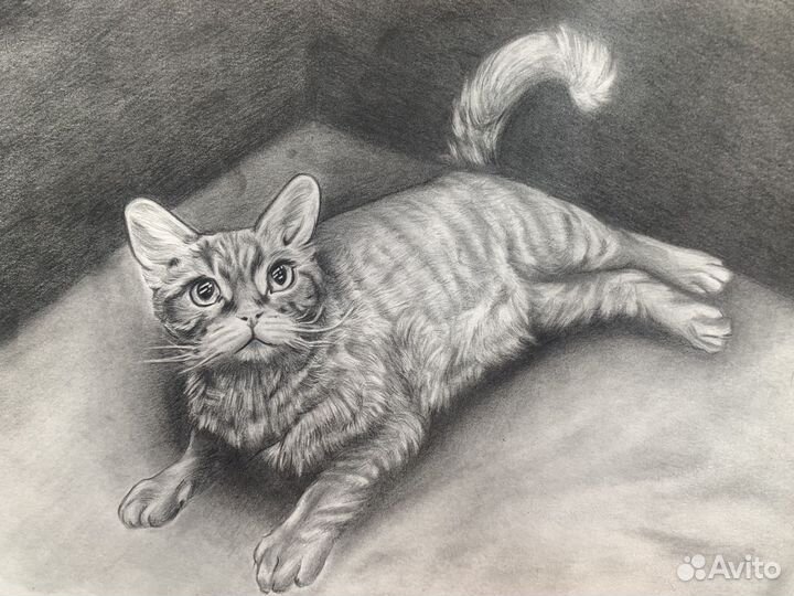 Портрет животного на заказ (графика)