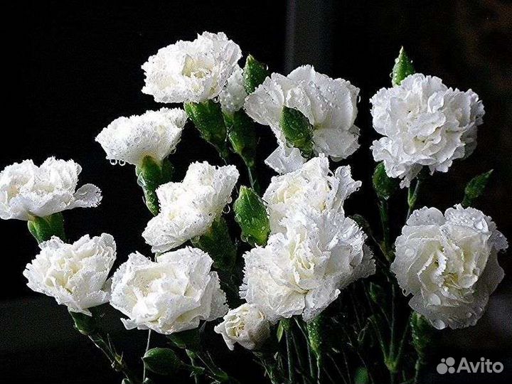 Цветы с доставкой