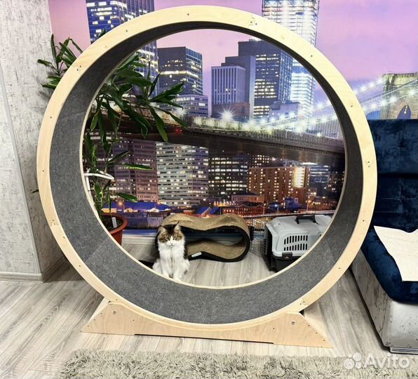 Беговое колесо для кошек