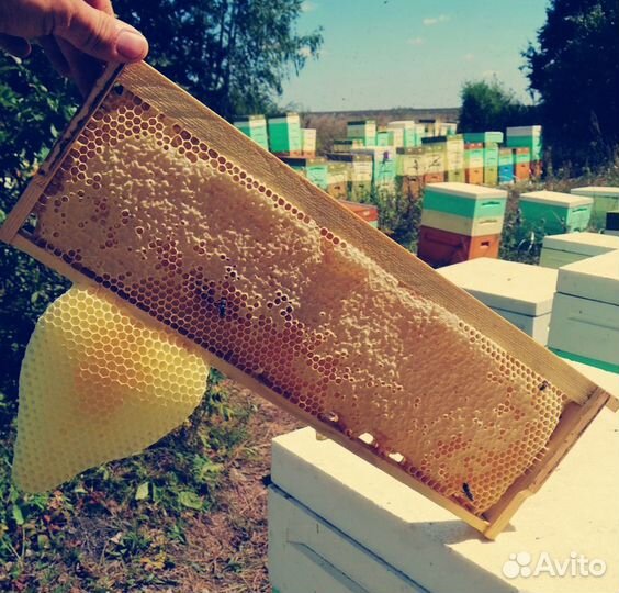 Мёд натуральный