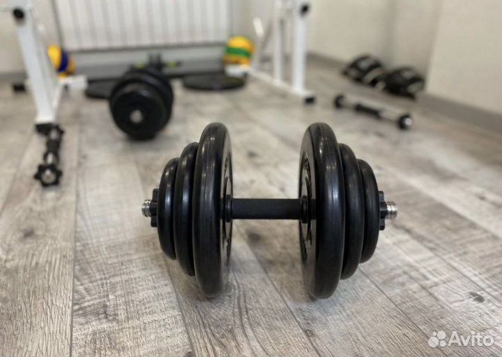 Гантеля 19.5 кг (Барбелл)