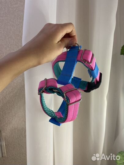 Амуниция для собак ручной работы