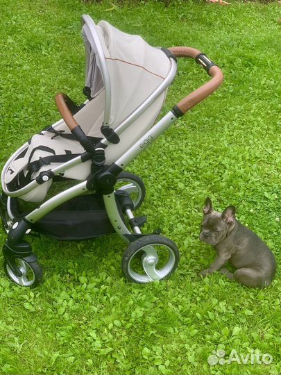Коляска egg 2 в 1