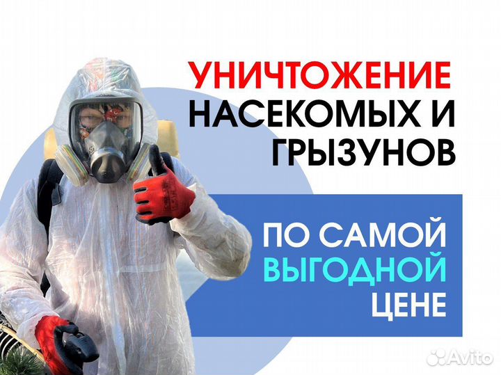 Дезинфекция