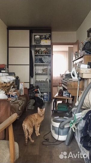 Организатор пространства