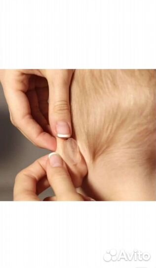 Корректор для ушей арилис