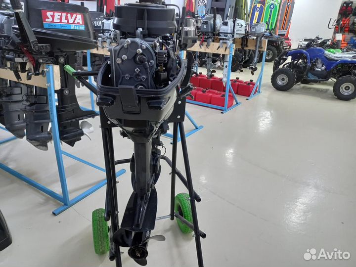 Лодочный мотор Suzuki DT 30 RS дистанция