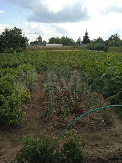 Участок 10 сот. (СНТ, ДНП)