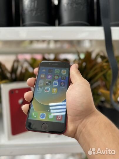 iPhone 8, 64 ГБ