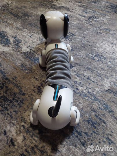 Собака робот