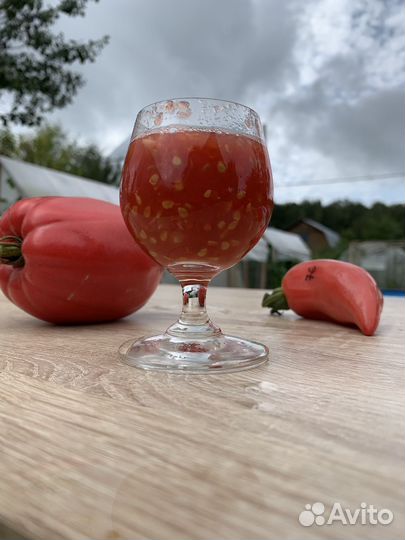 Семена сортовых томатов