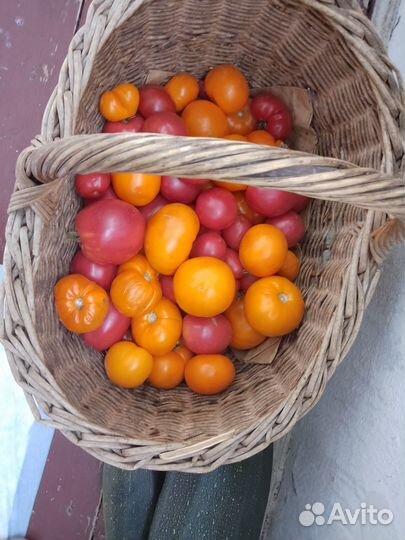 Помидоры свежие