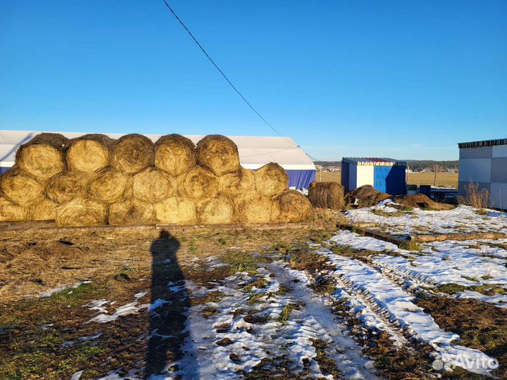 Продажа готовый бизнес (цепочка сырьё - продукция)