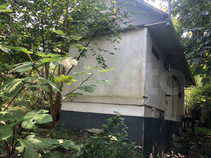 Участок 5,3 сот. (СНТ, ДНП)