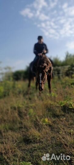 Конные прогулки в гостях у лали