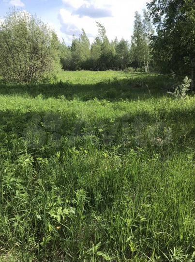 Участок 8 сот. (СНТ, ДНП)