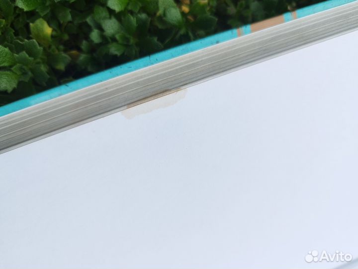 Белеет парус одинокий. Валентин Катаев