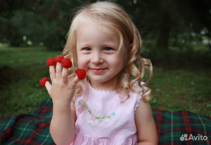 Детский фотограф