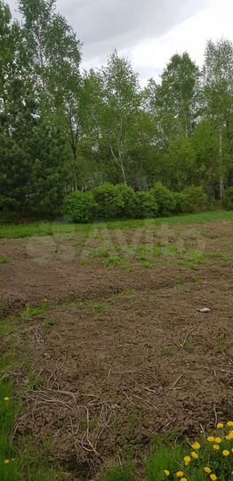 Участок 10 сот. (СНТ, ДНП)