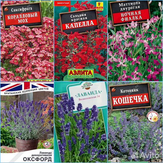 Семена однолетних и многолетних цветов