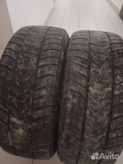 Triangle Winter A/T 19.5/55 R16