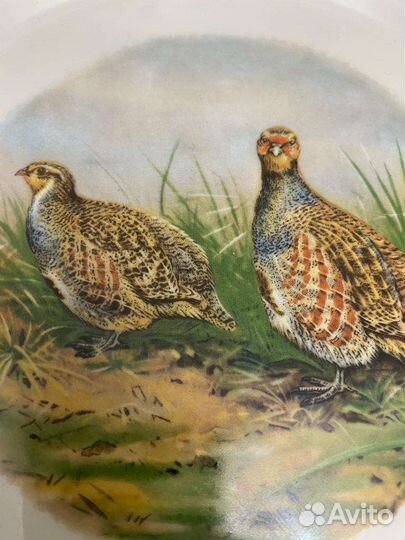 Лимож Франция