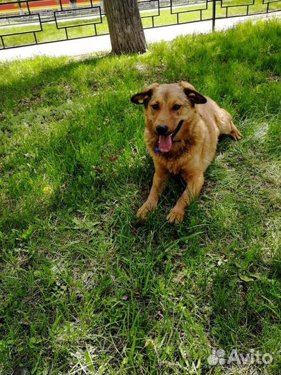 В надёжные руки