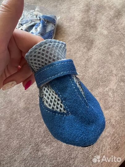 Ботинки для собак