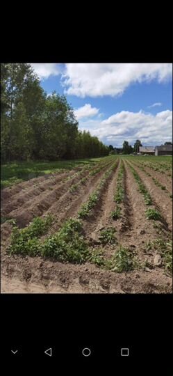 Участок 28 сот. (ИЖС)