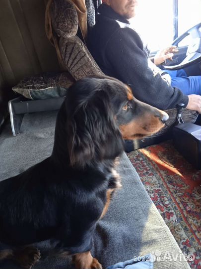 Такса вязка